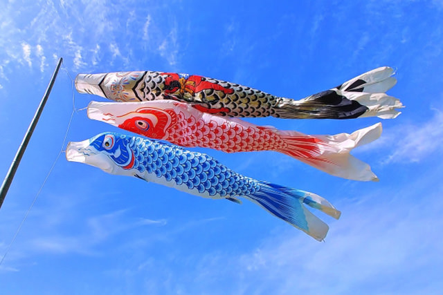 鯉のぼり